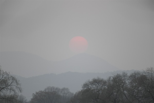 달성습지에서 바라보는 일몰. 은은한 수묵화를 보는 느낌이다. 