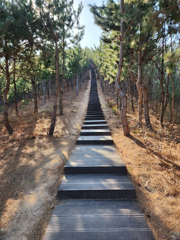 묵은봉 정상으로 가는 끝이 보이지 않는 가파른 계단 모습(2023.3.5)
