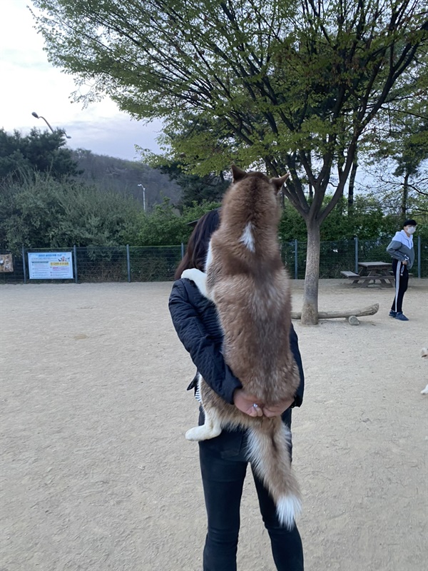 이모를 좋아하는 해탈.