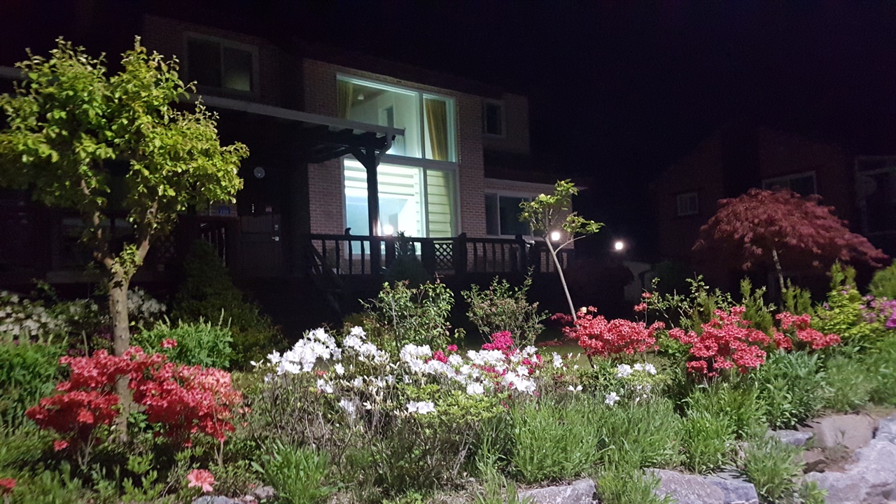 전원주택에 찾아 온 봄날의 밤입니다. 조용하기만 한 골짜기에 호젓하게 핀 꽃들이 밤을 수 놓고 있는 풍경입니다. 