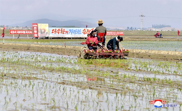 북한이 모내기 철을 맞아 전국 각지 농촌에서 모내기가 한창이라고 조선중앙통신이 2020년 5월 20일 보도했다.
