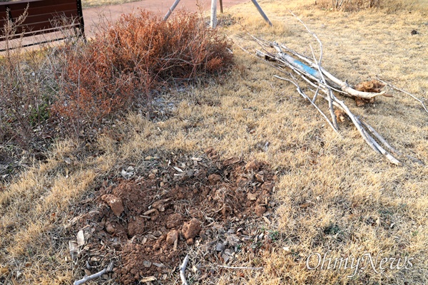 창원진해 옛 육군대학 터에 각종 교육연구시설 조성공사가 진행되고 있는 가운데, 그 둘레에 들어선 근린공원에 심어 놓았던 벚꽃나무가 많이 말라 죽었다.