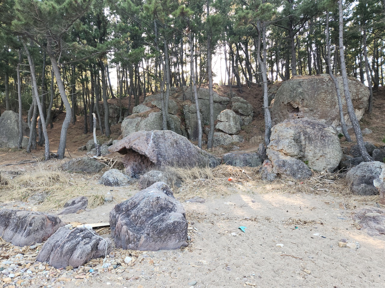 이가리 닻 전망대 해안가에 구멍이 숭숭 뚫린 바위들 모습(2023.3.5)