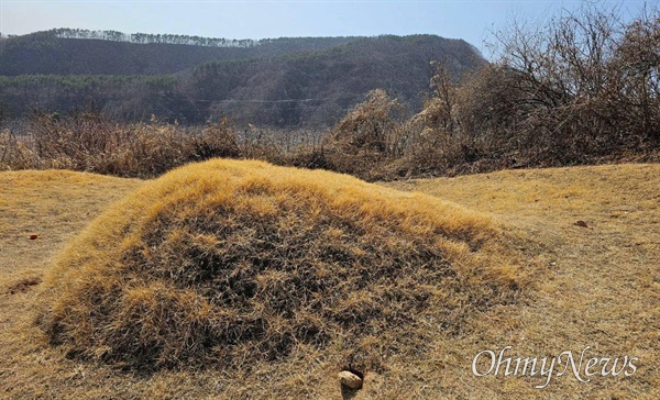  이재명 더불어민주당 대표 부모의 산소가 훼손돼 있는 모습.