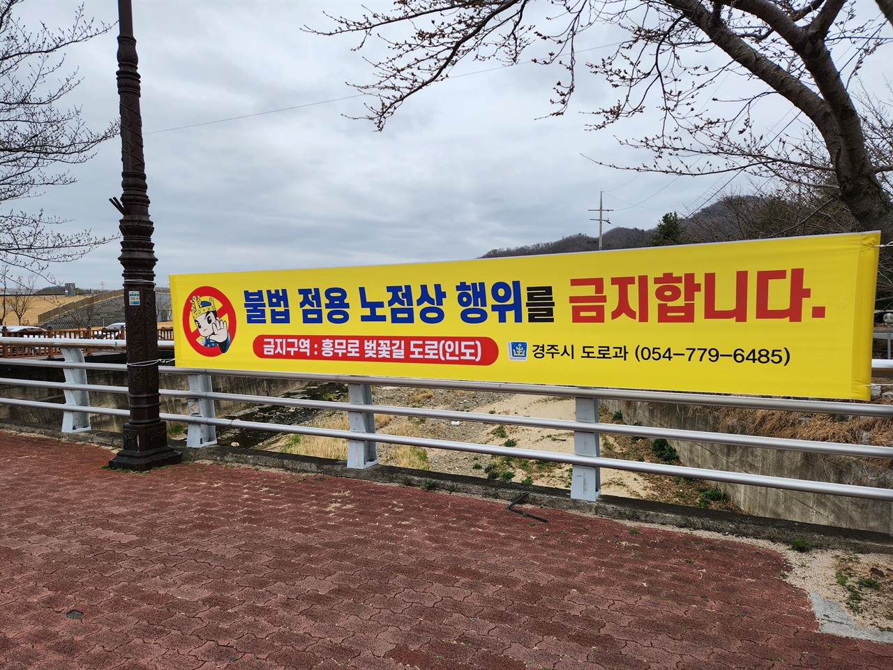 경주 흥무로 벚꽃길에 불법 점용 노점상 행위 금지 현수막 게시 모습