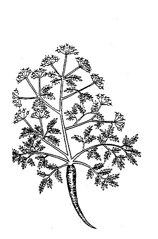 오기준, 식물명실도고, 1848년