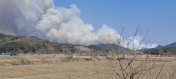 2일 오전 11시께 충남 홍성군 서부면 중리의 한 야산에서 산불이 발생했다. 인근 현장에서 직접 촬영한 사진이다. 