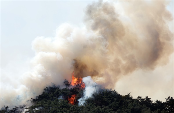 2일 오후 산불이 발생한 서울 종로구 인왕산에서 불길이 치솟고 있다. 2023.4.2

