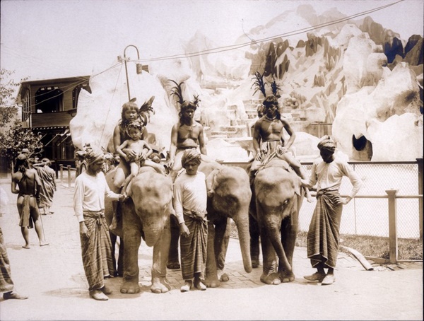 1904년 세계박람회에 전시된 이고로트 족의 모습.