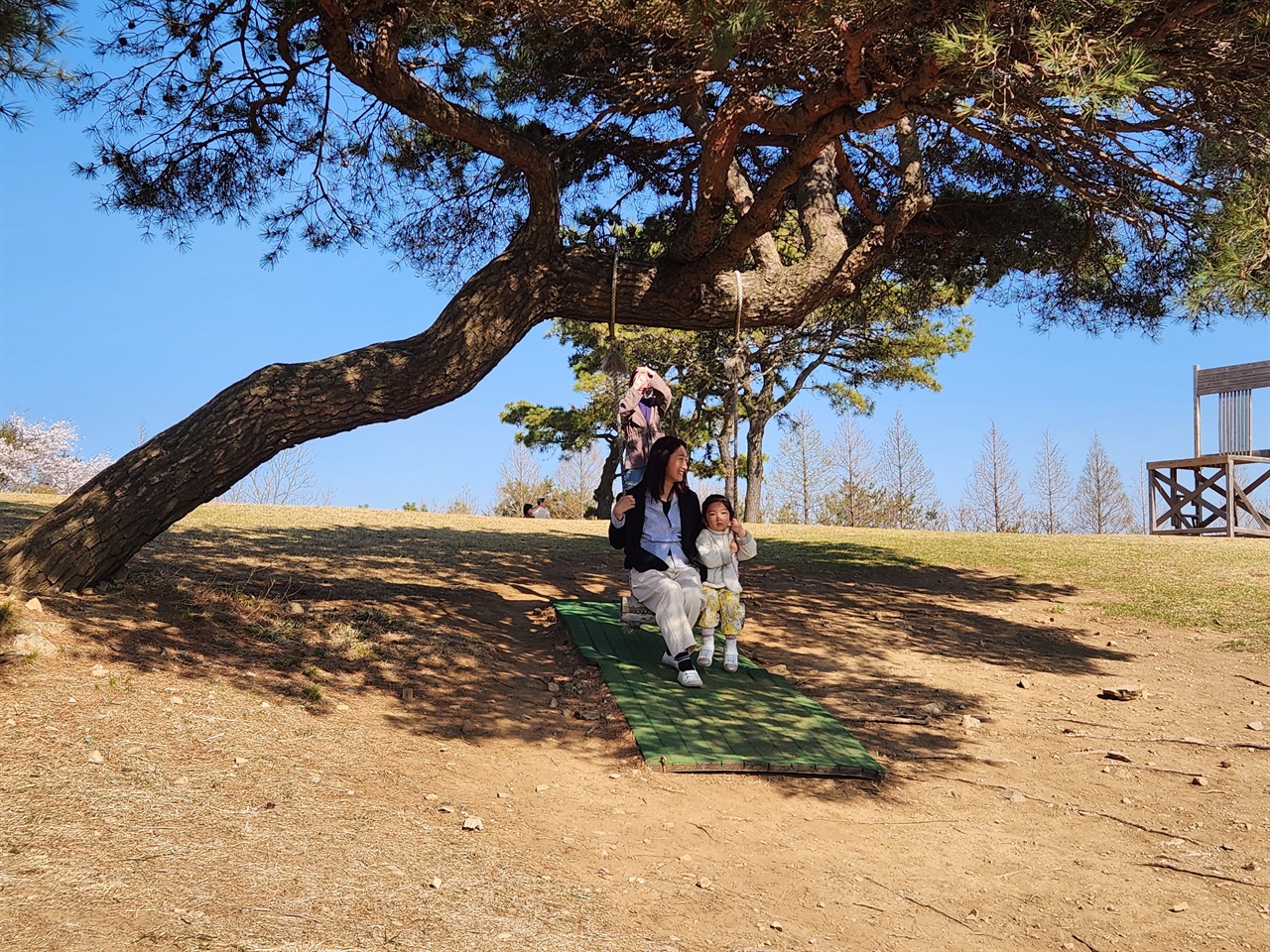  경주 화랑의 언덕 위에서 아이와 함께 그네를 타며 즐거워하는 모습(2023.4.3)