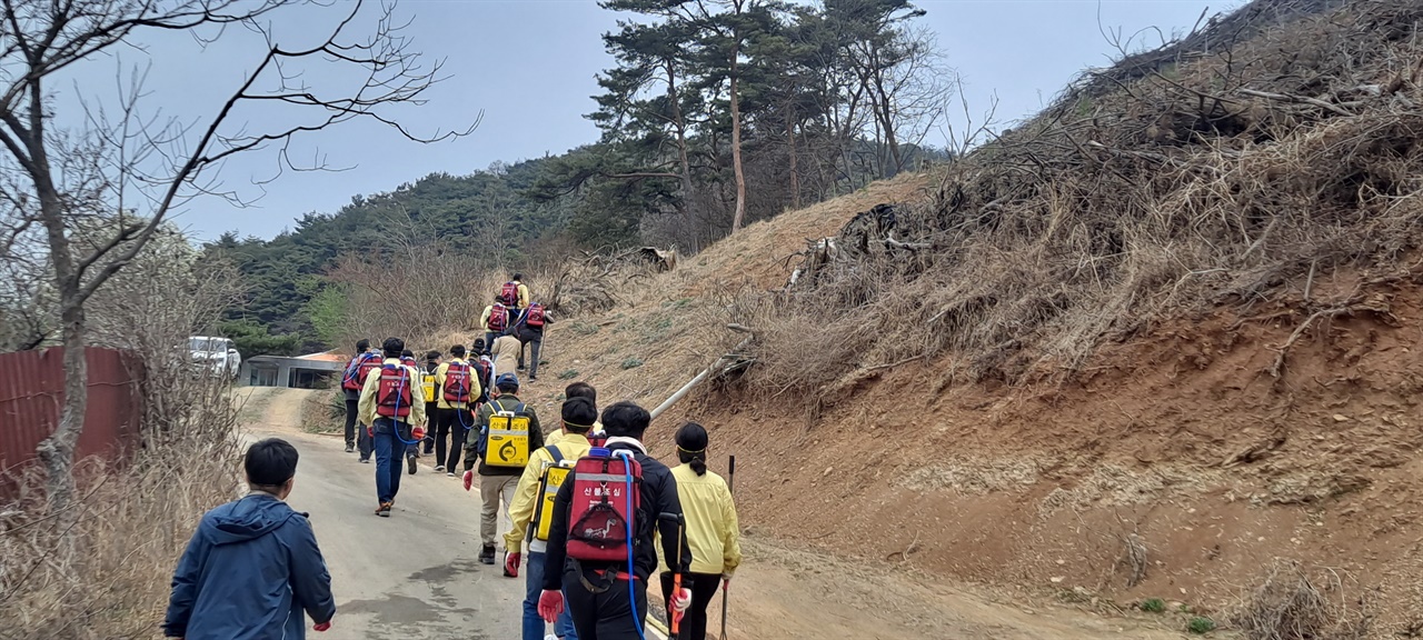  잔불 제거에 투입된 충남도교육청 직원들 