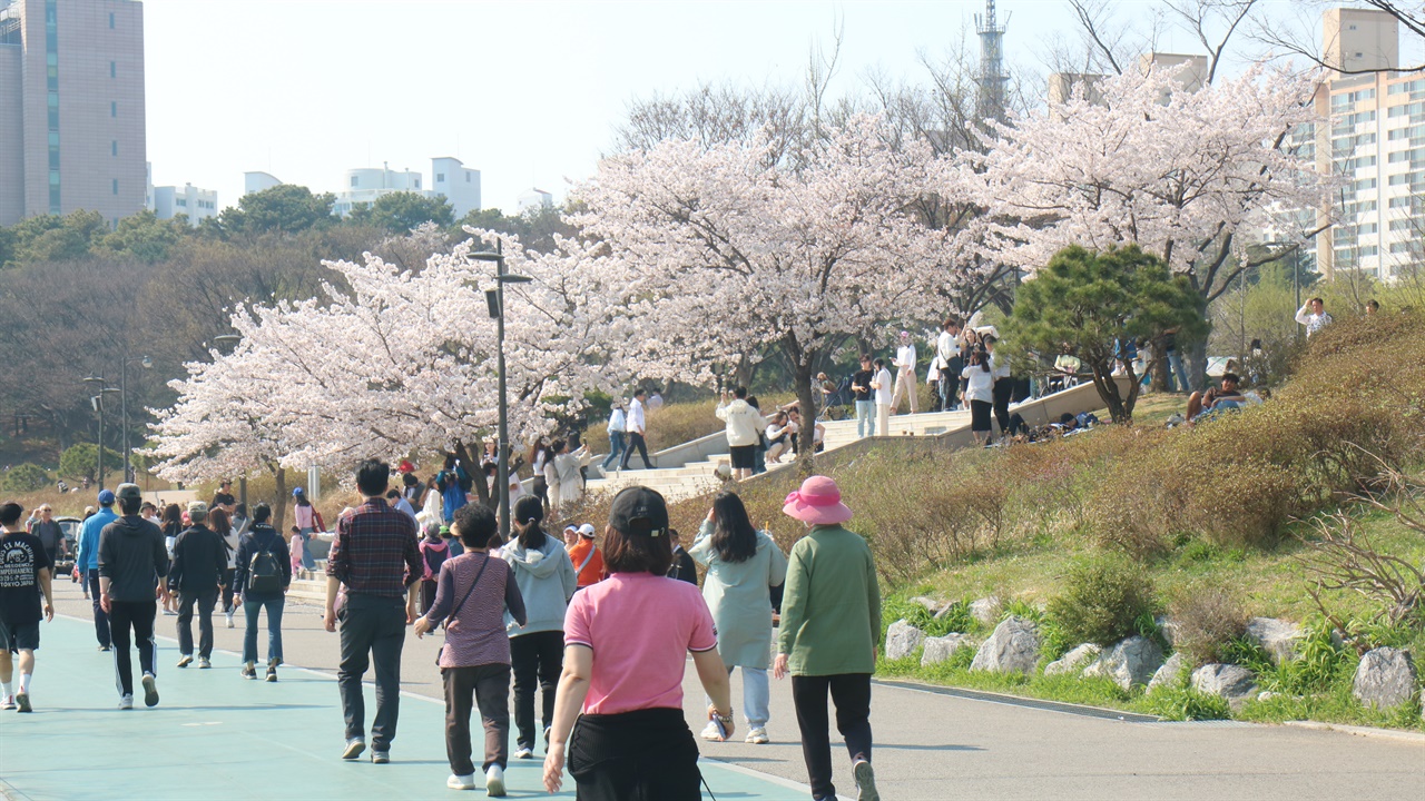 2일 보라매공원에는 벚꽃을 즐기러 나온 시민들로 북적였다.