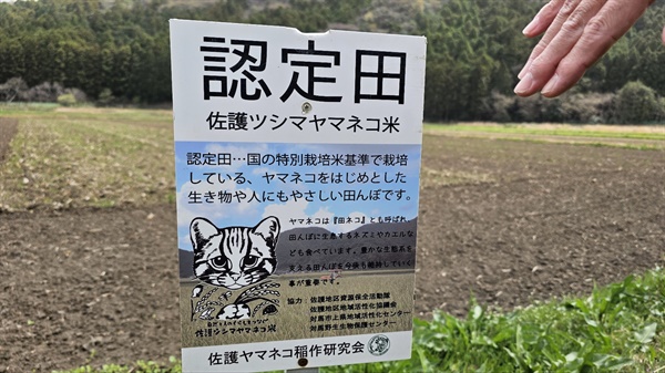 일본 쓰시마 사고 야마네코쌀 재배논 인증 표지.