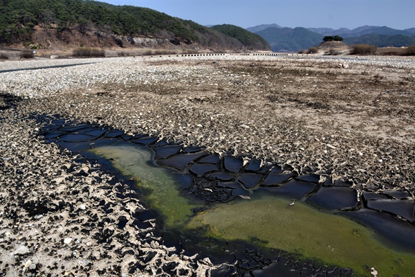 낙동강사랑환경보존회 이태규 회장의 설명에 따르면, 영풍에서 흘러나온 침출수로 인해 하류 낙동강 바닥이 심각하게 오염됐다고 한다(사진은 2019년 5월 촬영분). 