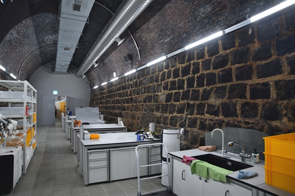 옛 사진포 터널을 활용해 대전·세종·충북·충남 등에서 발굴된 비귀속 유물을 보관하고 체험할 수 있는 공간으로 만든 ‘예담고’의 유물정리실 모습.
