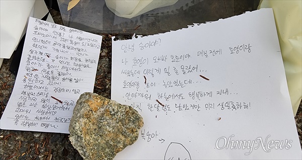 지난 8일 오후 대전 서구 둔산동 어린이보호구역(스쿨존)에서 음주운전 차량에 치여 숨진 배승아(9) 양을 추모하는 발길이 계속 이어지고 있다. 
