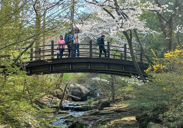  덕산계곡 초입에 자리한 무지개다리