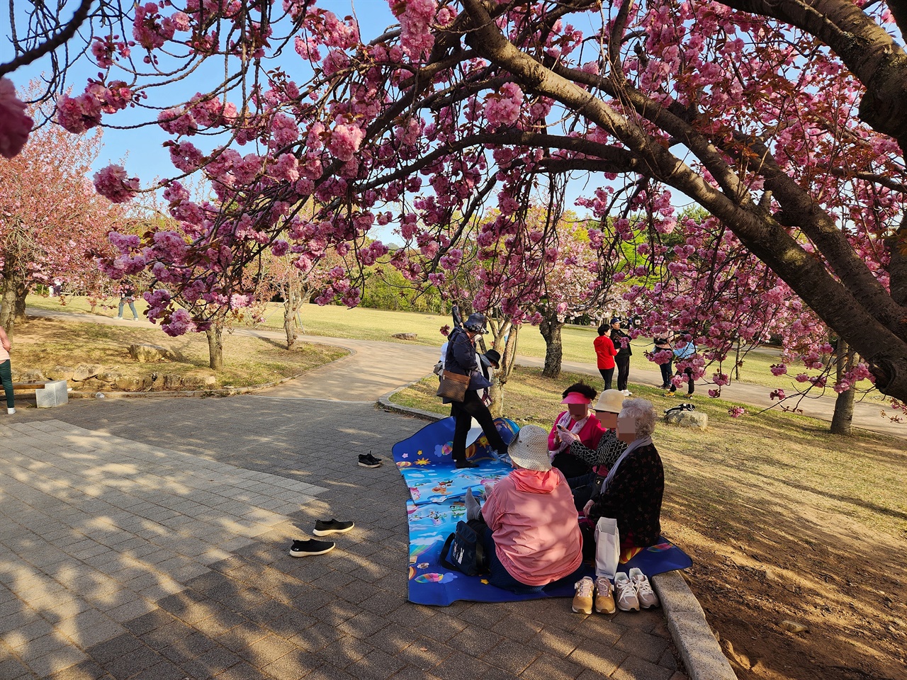  겹벚꽃 아래에서 야외 돗자리를 깔고 앉아 휴식을 취하는 방문객 모습(2023.4.10)