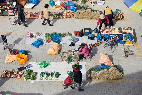  시장에 계절을 전하는 건 봄나물이다. 자연의 산물들이 할머니를 따라 장터로 마실 나왔다.