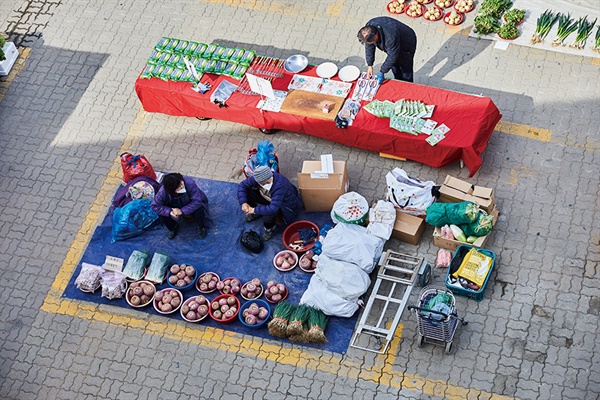  순무 밭을 그대로 옮겨놓은 할머니의 좌판. 강화 땅에서 캔 알싸함이 장바닥에 퍼진다.