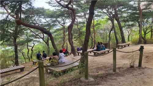 서울시 중부공원여가센터가 남산의 명소인 '소나무 힐링숲'을 이달부터 전면 개방했다고 18일 밝혔다. 사진은 서울 남산 '소나무 힐링숲'.