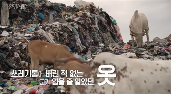 과거 KBS에서 방영됐던 '옷을 위한 지구는 없다' 다큐멘터리 갈무리 화면(유튜브 캡쳐)
