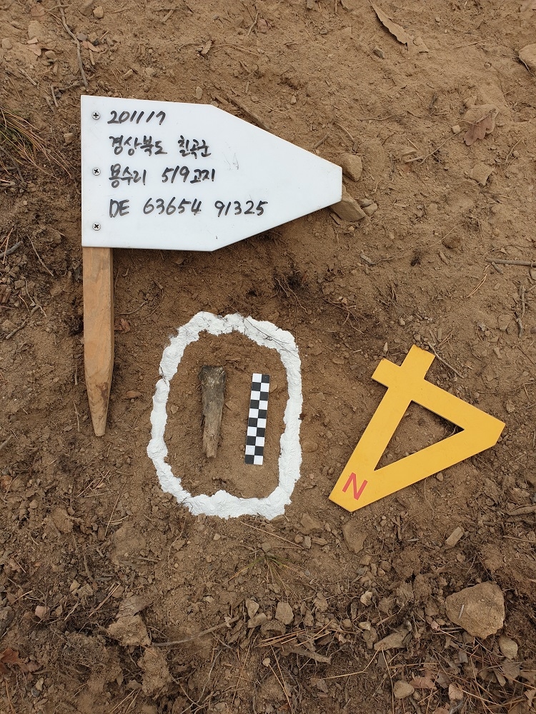 2020년 11월경 경북 칠곡군 용수리 일대에서 발굴된 고 이승옥 이등중사(현 계급 병장) 유해의 전체 골격 사진