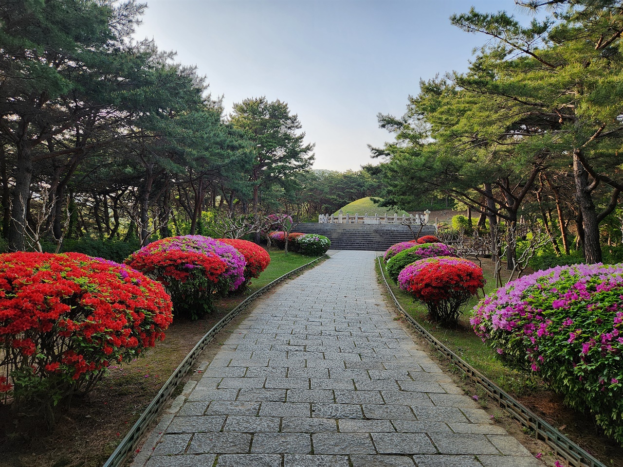아름다운 별장 정원처럼 꾸며진 김유신장군묘 철쭉 모습