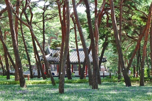 지난 4월 22일 다녀온 서울 강북구 솔밭근린공원. 산속 사찰같이 편안한 정자가 있다.