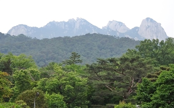 솔숲 뒤로 펼쳐지는 북한산 봉우리.
