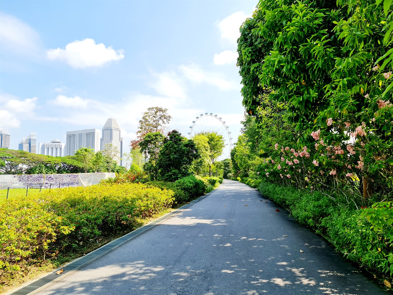 햇볕이 쨍쨍 내리쬐는 날 싱가포르 가든스 바이 더 베이(Gardens by the Bay)에서 찍은 사진입니다.