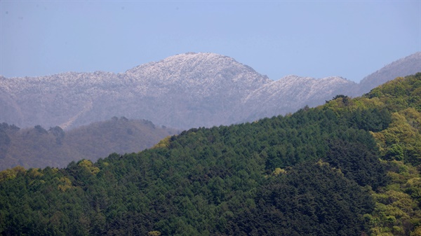  26일 함양 마천면에서 바라본 지리산 천왕봉의 상고대.