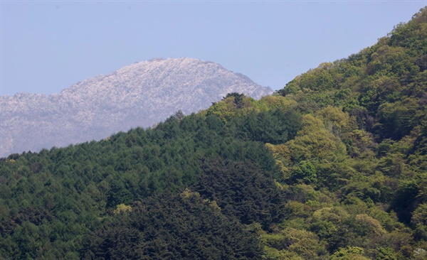  26일 함양 마천면에서 바라본 지리산 천왕봉의 상고대.