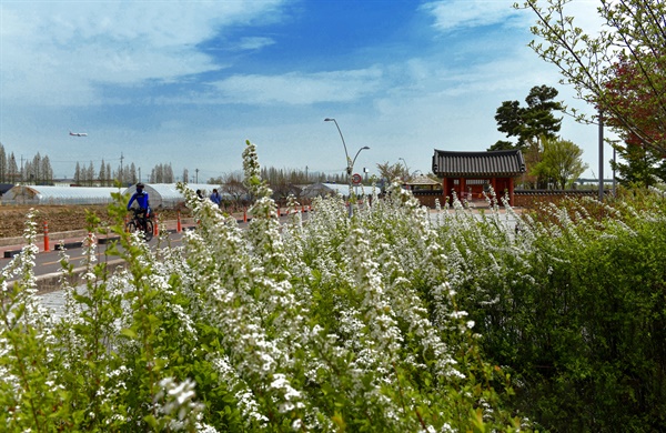 인천 아라뱃길을 따라 라이딩을 하면 봄바람을 가르며 코끝을 스치는 봄꽃들의 싱그러움을 맡게 된다. 사진은 자전거를 타고 달리는 인천 아라뱃길 주변 풍경.