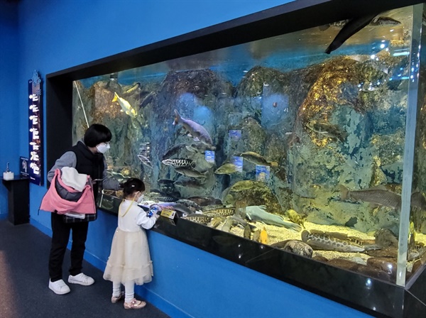 다누리아쿠아리움은 국내 최대 규모의 민물고기 전시관이다.단양강은 물론 세계에 살고있는 물고기가 전시됐다