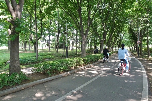 공원 안 자전거 전용길.