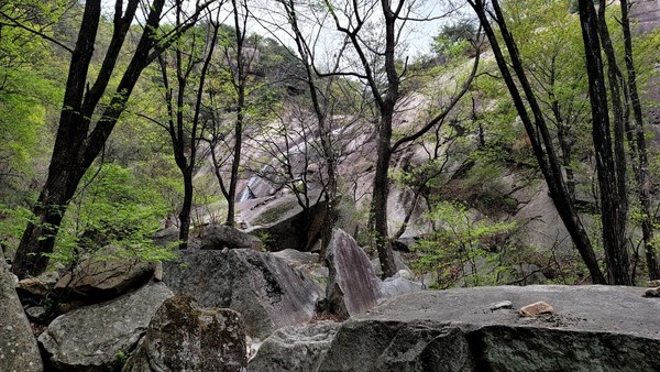 금수산 망덕봉 아래에 있는 용담폭포. 물줄기가 세지는 않지만 주변 나무와 잘 조화를 이루고 있다.