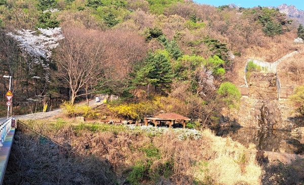 서울대공원 동물원 둘레길과 주변 풍경