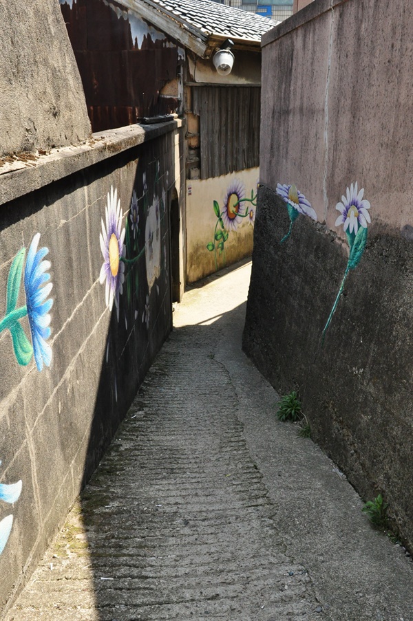 한사람이 겨우 지나다닐 만한 좁은 골목길에 해국벽화가 그려져 있다.