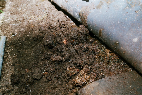 지렁이가 흙을 먹은 뒤에 내보내는 분변은 유기질이 풍부한 '분변토'가 돼 식물의 성장을 돕고, 지렁이가 지나간 길은 땅을 부드럽게 하고 또 바람을 통하게 한다.