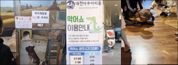 대전충남녹색연합은 동물원 레인저팀이 대전지역 동물원 전시동물 사육환경 모니터링한 결과, 모든 곳에서 동물 먹이주기 체험과 만지기 체험, 악어쇼가 여전히 진행 중인 것으로 나타났다.