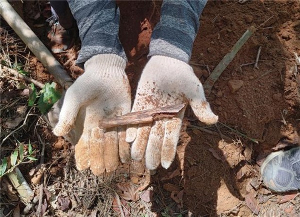 2021년 유족회가 유해발굴 시굴시 일부 확인된 정강이뼈.