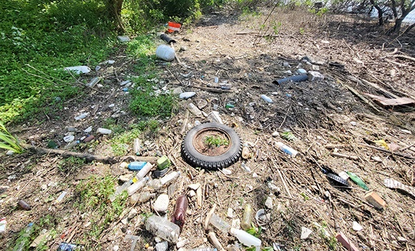 예당저수지 주변 송지대야리로 밀려온 각종 쓰레기들이 널려 있다. 