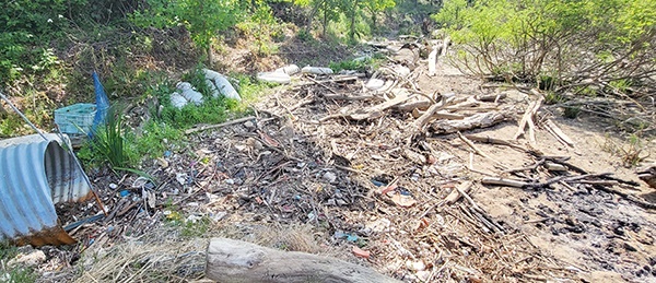 예당저수지 주변 송지대야리로 밀려온 각종 쓰레기들이 널려 있다.
