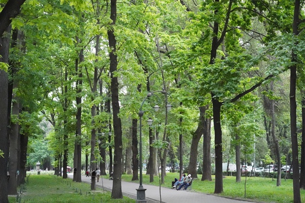 비슈케크의 도심 공원