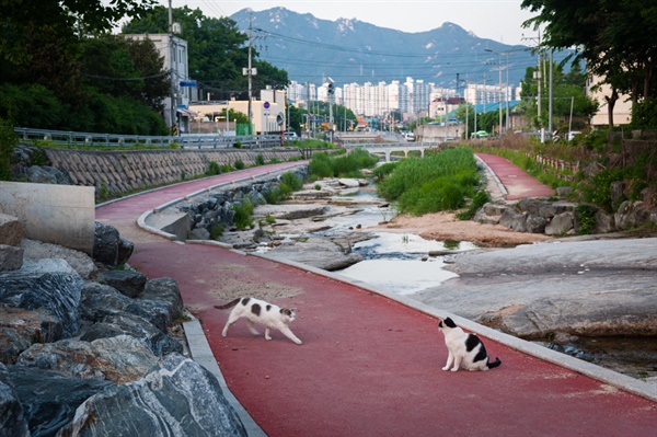 계곡을 따라 상계동 너머 수락산이 보인다.