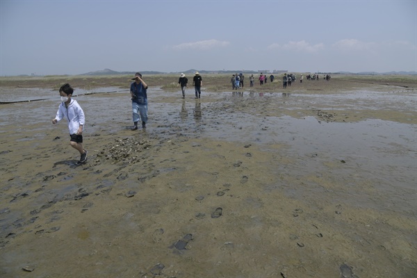 새만금 수라갯벌 물끝선 탐사에 나선 참가자들이 수라갯벌을 걷고 있다. 