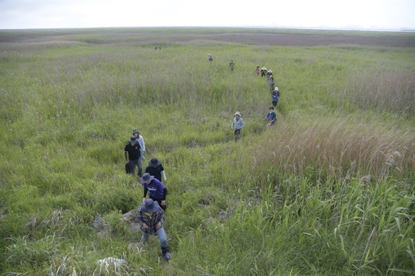 남수라  탐방을 마치고 참가자들이 갯벌을 빠져나오고 있다. 
