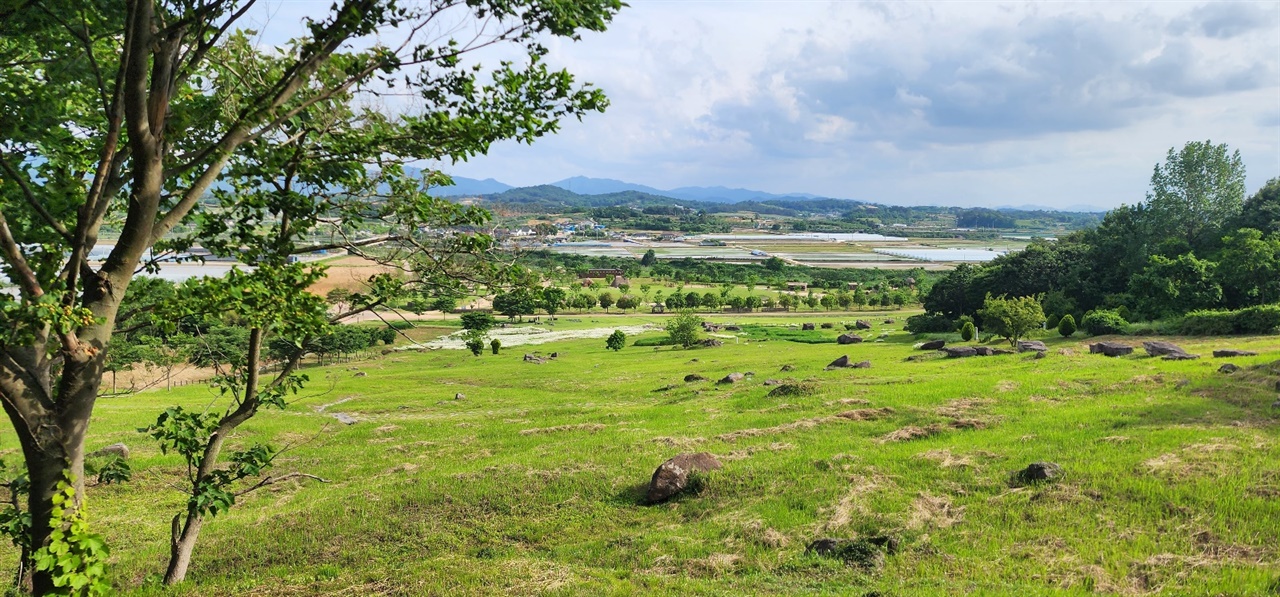세계 고인돌 유적의 70%가군락을 이룬 고창 고인돌 유적. 460여기가 분포돼 있다.
