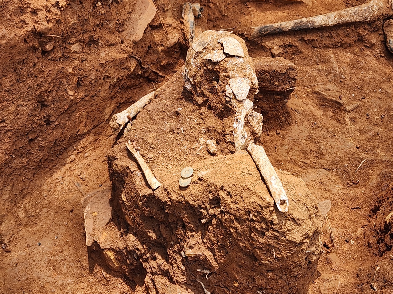 서산 갈산동 유해 매장지에서 발견된 유해와 단추  